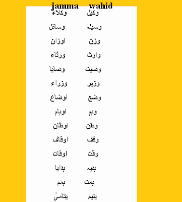 Urdu wahid jamma list