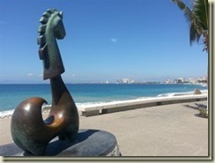 20160224_seahorseandvallartaSmall_th