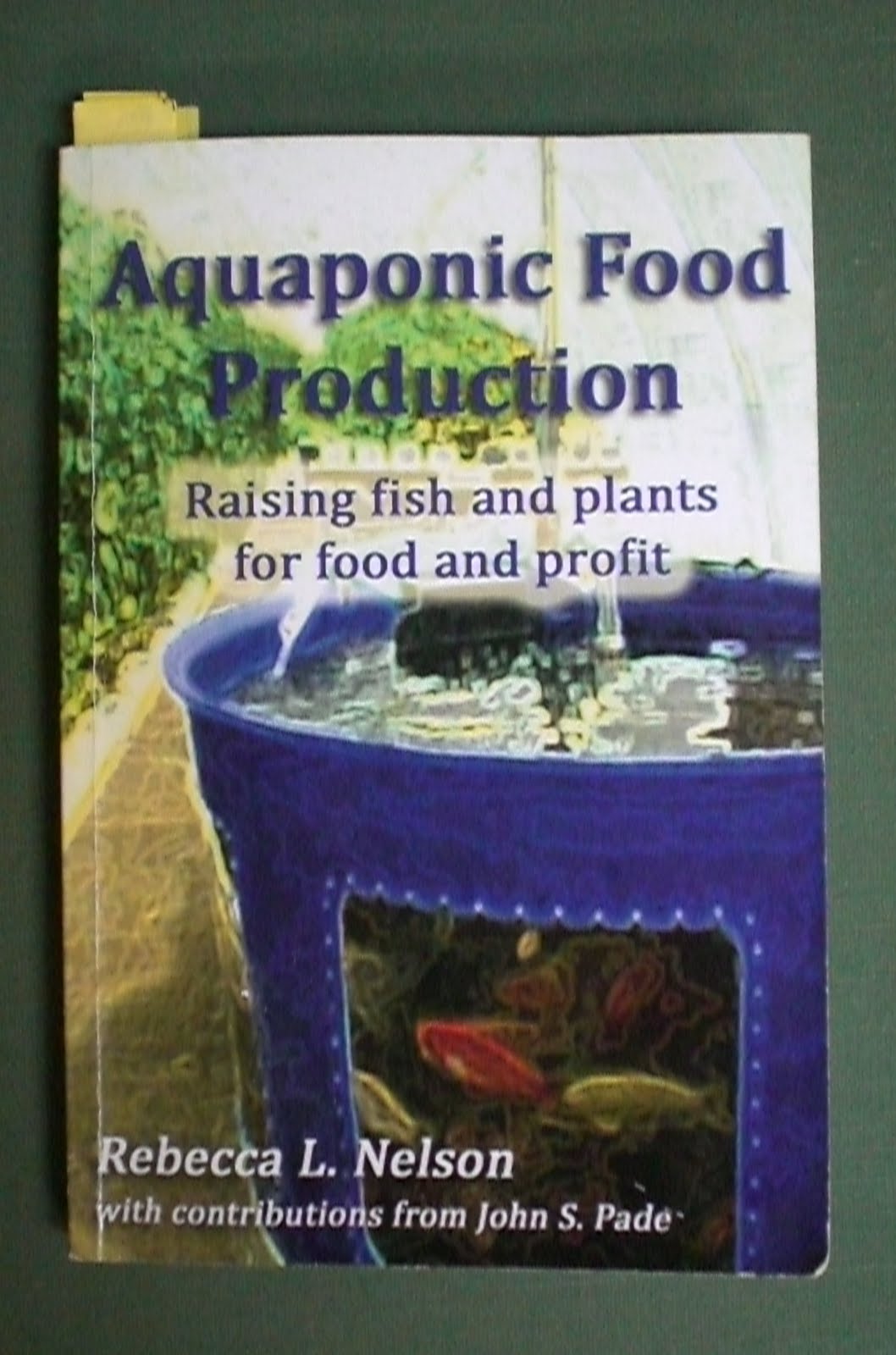 Aquaponic Fish System with Food