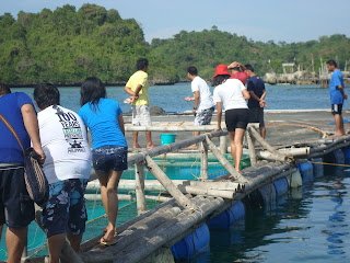 fish cages in Seafdec