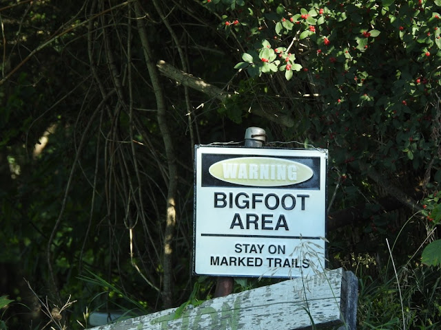 It's illegal to kill Bigfoot in British Columbia. Amazing WTF Facts.
