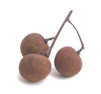 longan