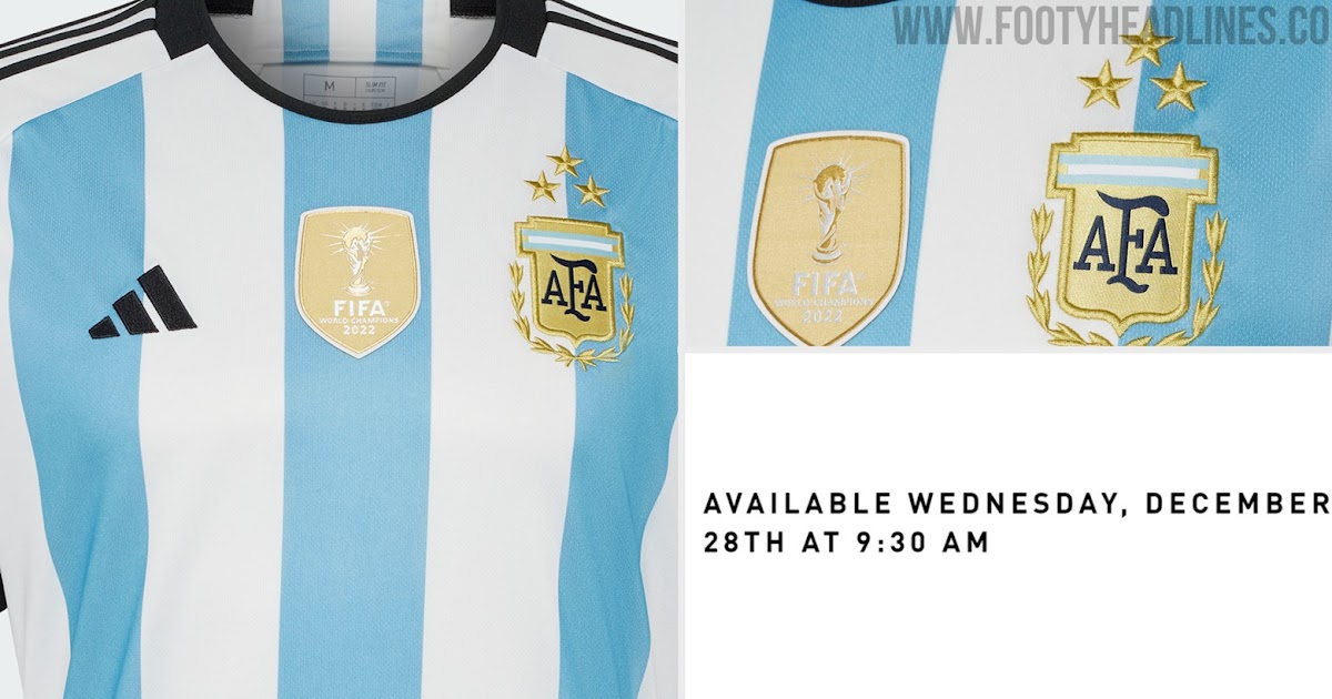 Argentina Jersey 3 Stars Qatar 2022 Official Adidas AEROREADY IB3593 (Ask  size)