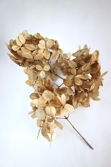 flower press tutorial, how to use a flower press, pressed hydrangea flowers, pressed flower crafts, nature crafts, blah to TADA, how to preserve flowers