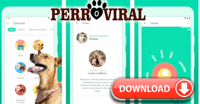 Descarga aquí DOGO : La App favorita de tu perro