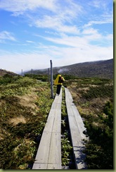 Zao planks along the ridge line DSC01612