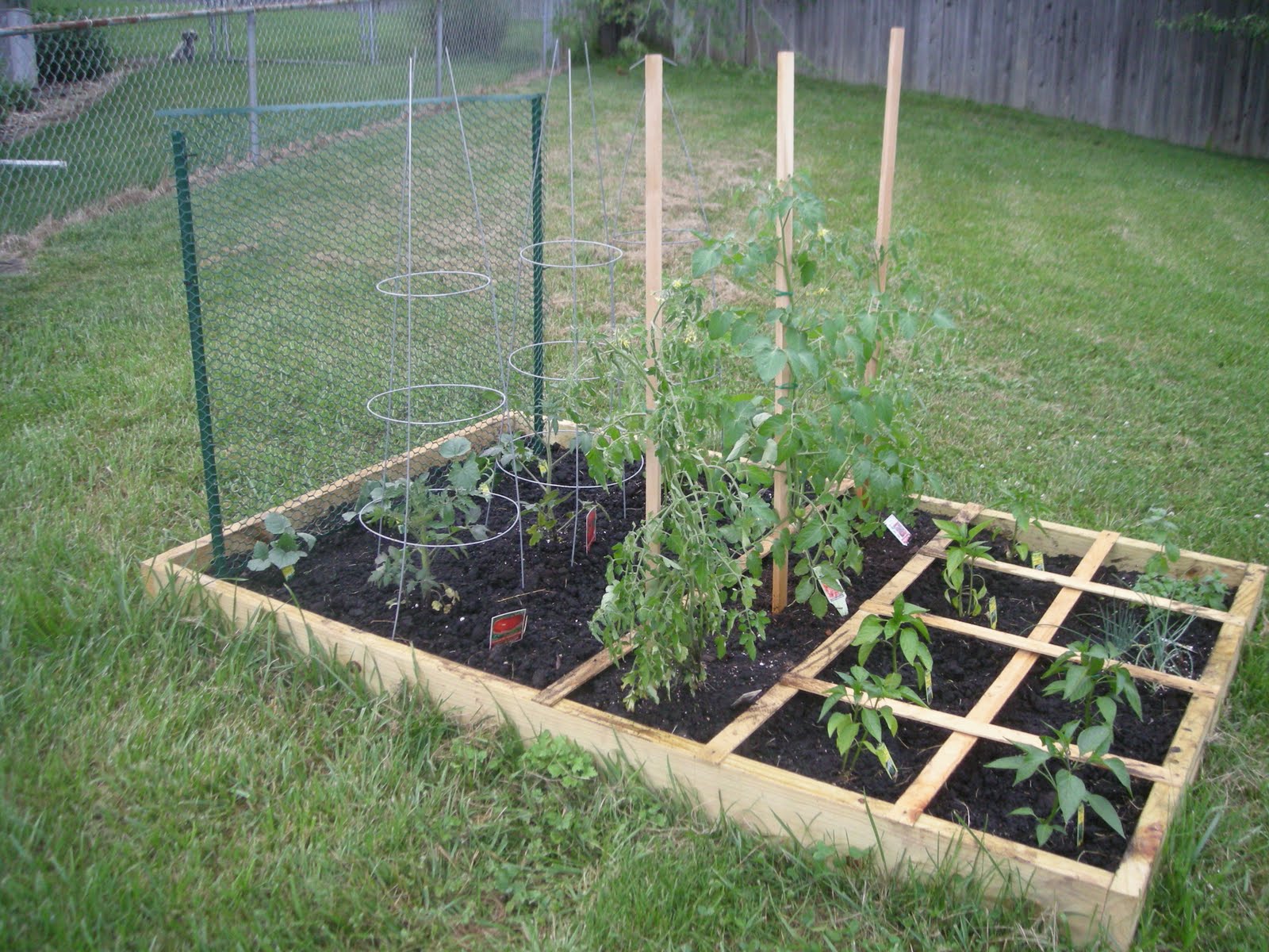 Cutting Coupons in KC: Frugal Friday: Square Foot Gardening