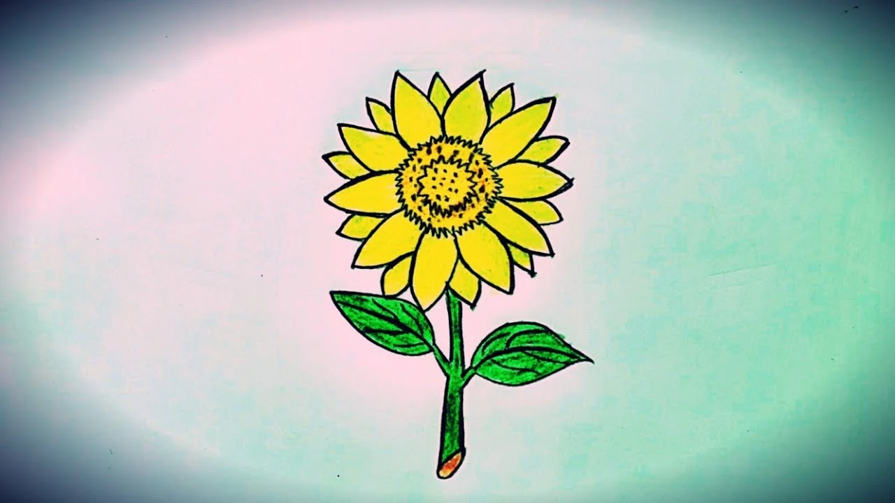 Sunflower Flower Drawing - Sunflower Flower Images Download - Sunflower flower images download - NeotericIT.com