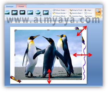 Gambar sangat sering dipakai sebagai materi presentasi Cara Crop Gambar di Powerpoint