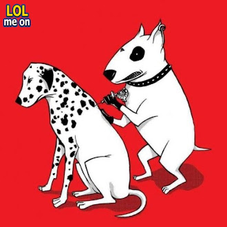 How Dalmations Get Their Spots