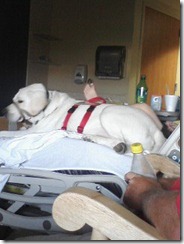 Omri on Scotts hospital bed