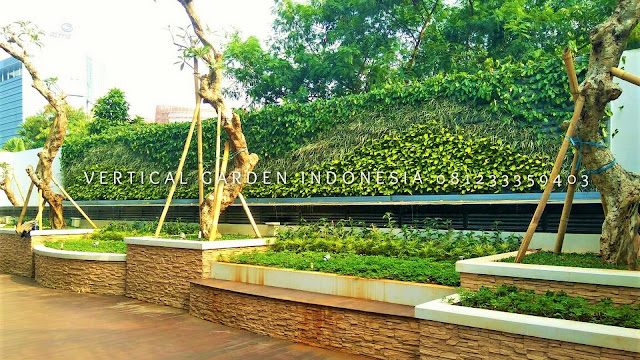 VERTICAL GARDEN INDONESIA SPESIALIS JASA PEMBUATAN VERTICAL GARDEN DI KEBUMEN JAWA TENGAH DAN DI SELURUH WILAYAH JAWA TENGAH DENGAN TENAGA YANG PROFESIONAL DAN DAPAT DI PERCAYA YANG SELALU MENGUTAMAKAN SEBUAH MUTU DAN KUALITAS PEMASANGAN VERTICAL GARDEN/TAMAN DINDING, JASA TUKANG TAMAN VERTICAL KEBUMEN JAWA TENGAH, JASA VERTICAL GARDEN KEBUMEN JAWA TENGAH