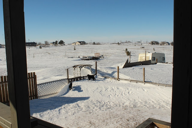 Snowbanks cover the yard