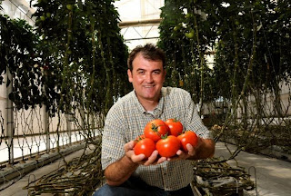 Murat Kacira en el Centro de Medio Ambiente Controlado de Agricultura, sosteniendo algunos tomates