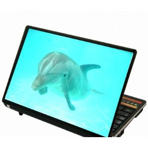 Review Dolphin Laptop Skins