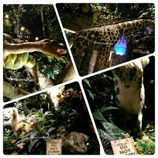 Jungle Resto Ala Madagaskar Plaza Senayan