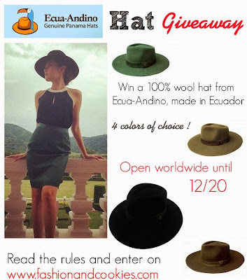 Ecua-Andino Hat Giveaway on Fashion and Cookies, win a $60 worth stylish hat