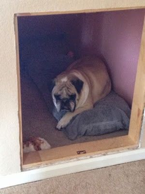 how to make a DIY under the stairs dog house www.thebrighterwriter.blogspot.com