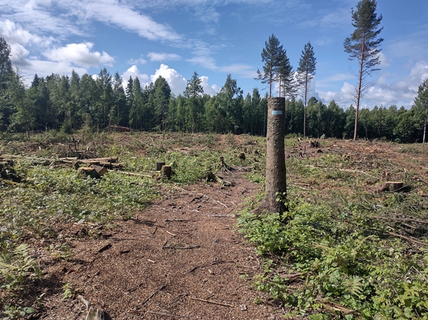 stolpejakt maura