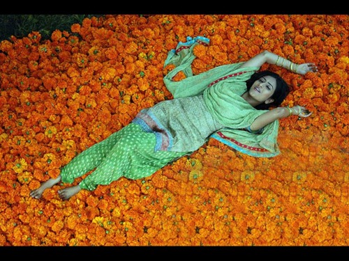 Aditi Sharma Different Look Wallpapers