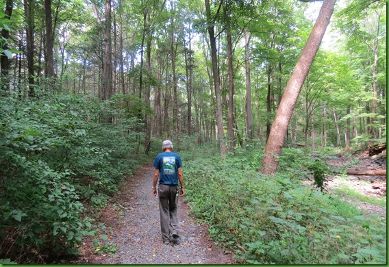 Hornbecks Creek (3)