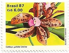 Selo Cattleya guttata Lindley