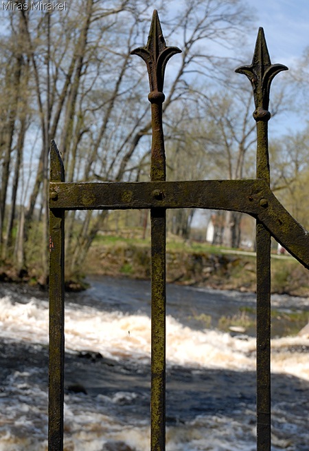 _DSC0074hm