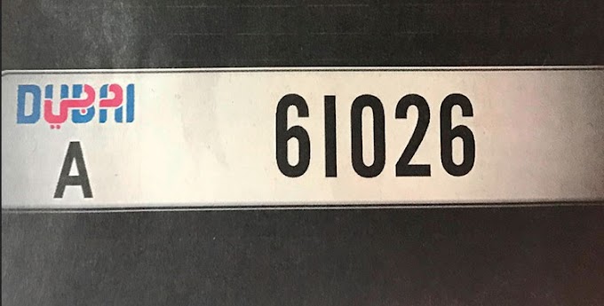 Lost Vehicle Number Plate in Dubai - with Screenshots