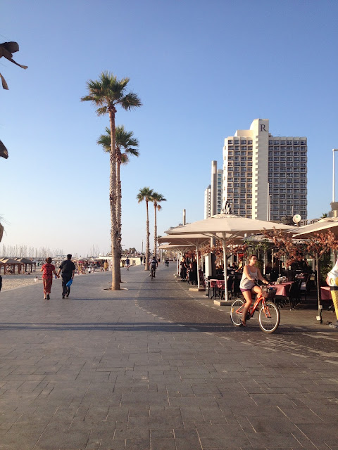 Как я провел 2015 год | Блог Rimma in Israel
