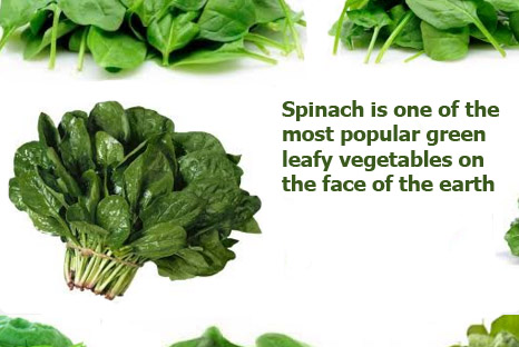 Spinach benefits side effects