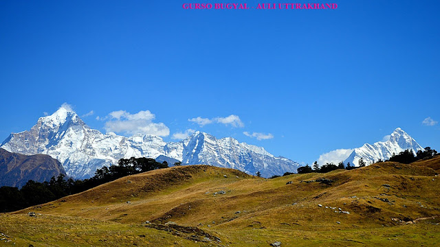 GURSO BUGYAL-AULI - AULI WEATHER- AULI HOTELS-UTTRAKHAND-INDIA TRAVEL-AULI TOURISM