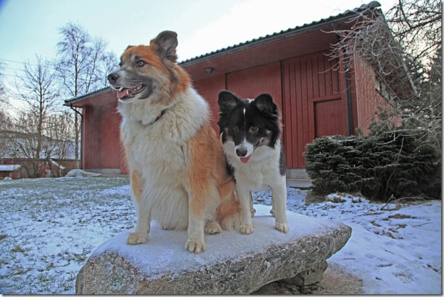 08des2011_julebilder_5657