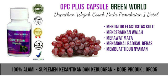 Obat Alergi Kulit Green World