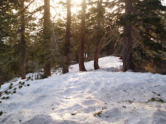 snow on trail 5-12-08
