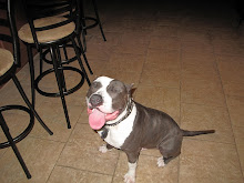 Kaiser  "The Usual Suspect"