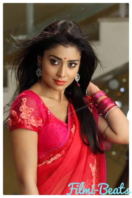 Shriya saran wallpaper and biography