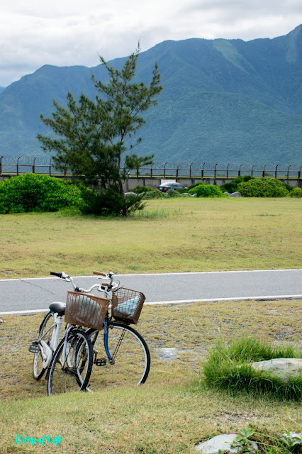 [HUALIEN 花莲] Day 6: Go to Hualien via Train, Cycling to Chishingtan Beach, Yuan Yeh Ranch 第六天：火车到花莲，骑自行车去七星潭，原野牧场