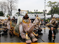 Gajah Putih Berlutut Memberi Penghormatan Raja Bhumibol Thailand