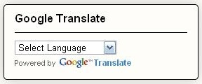 Google Translate, google translate blog, simple Google Translate