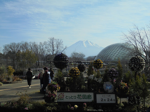 エントランスから大山の眺望