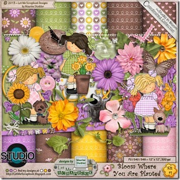 LMS_Bloom-1_Preview