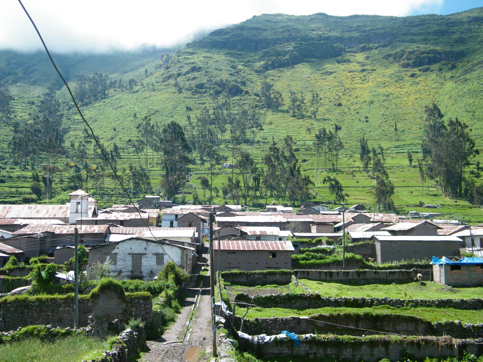 imagenes