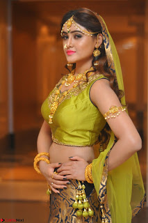 Sony Charishta in Green Choli Ghagra Transparent Chunni Ethnic Wear March 2017 009.JPG