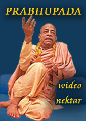 http://wideo-nektar-prabhupady.blogspot.com/