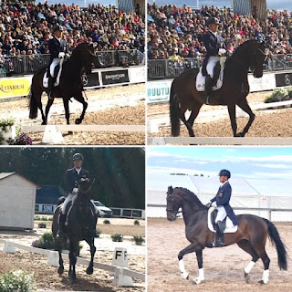 hiroyuoki kituhara, Huraca, aino nations cup 2019, riitta reissaa, dressage