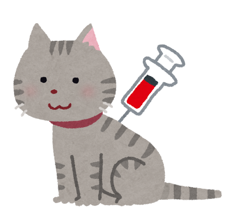 無料イラスト かわいいフリー素材集 ペットの採血のイラスト 猫