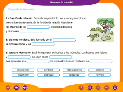 http://ceiploreto.es/sugerencias/juegos_educativos_6/2/8_Resumen_de_la_unidad/index.html