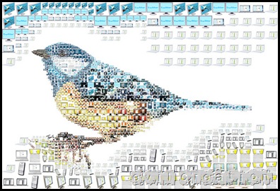 twit...tweet...twitter.