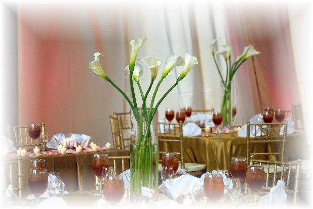 wedding decoration ideas trend of 2011 wedding decoration ideas trend of 