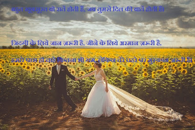 whatsapp web, status love shayari, whatsapp status,new